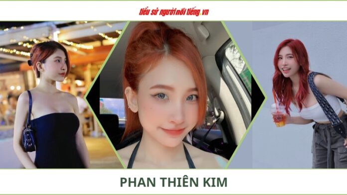 Streamer Lily Phan Là Ai? – Sự Nghiệp, Tài Năng, và Đam Mê Trong Thế Giới Livestream