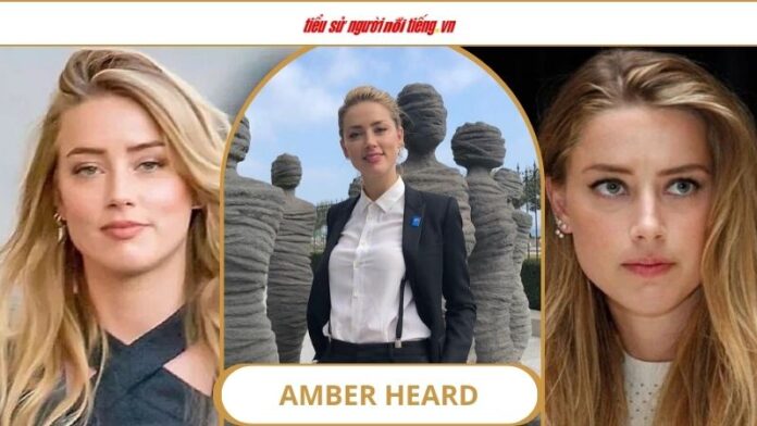 Amber Heard Là Ai? - Diễn Viên Nổi Tiếng và Cuộc Sống Riêng Tư Rắc Rối