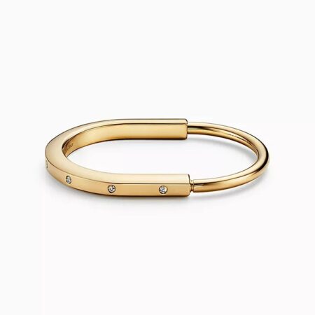 Tiffany and CO. là một thương hiệu trang sức nổi tiếng và uy tín đến từ nước Mỹ, được thành lập từ năm 1837. Với gần hai thế kỷ phát triển, Tiffany and CO. luôn giữ vững vị thế là một trong những thương hiệu trang sức hàng đầu thế giới.